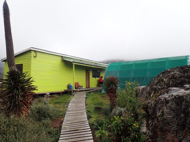 Bugata Camp in Rwenzori Mountains
