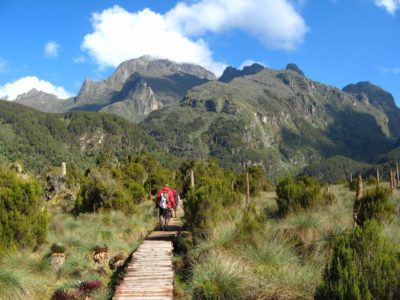 Rwenzori Mountains