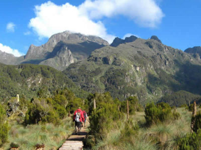 Rwenzori Mountain