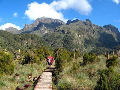 Rwenzori Mountaineering Services