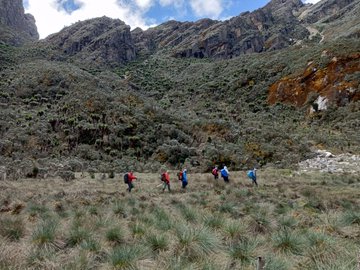 Rwenzori Trekking Services 10 Days