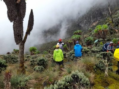 Rwenzori Mountains National Park