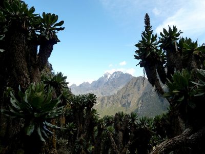 Weismann Peak Trek