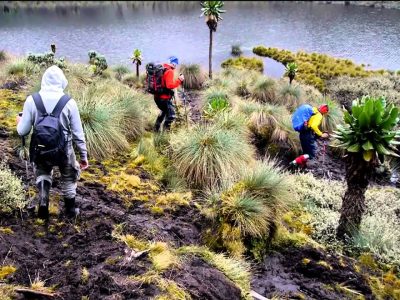 Rwenzori Mountaineering