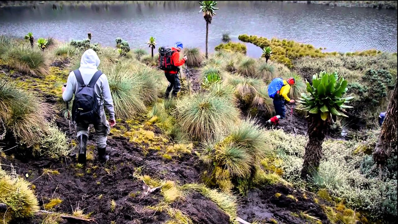 Rwenzori Mountaineering